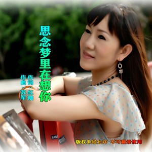 红袖 - 思念梦里在想你 (伴奏)