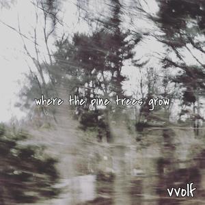 where the pine trees grow