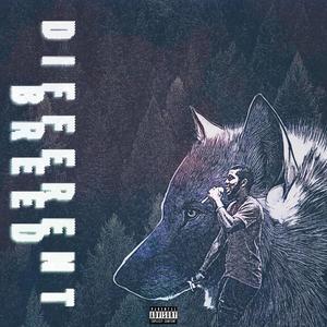 Different Breed (Explicit)