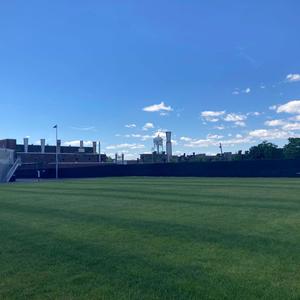 Rise from the dirt (Explicit)