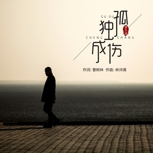 孤独成伤 (DJheap九天版)