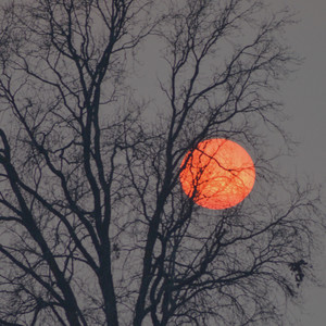 Don't Talk Me (Explicit)