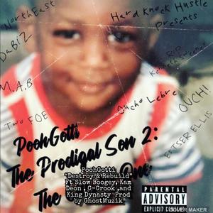 Destroy and Rebuild (feat. Slow Boogey, C-Crook, Kam Deon, King Dynasty & Prod by GhostMuzik) (Explicit)