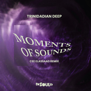 Moments Of Sounds (Cee ElAssaad Remix)