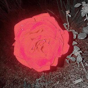 Gohsting (slowed) (Explicit)