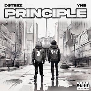 Principle (feat. DSteez) (Explicit)