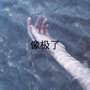 像极了