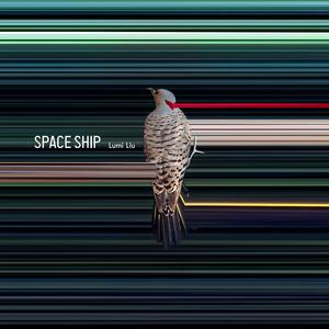 Space Ship