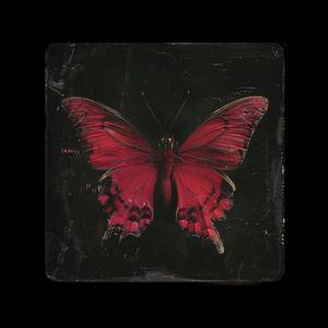 Spaceship (Explicit)