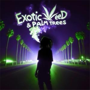 Exotic **** & Palm Tree's (Explicit)