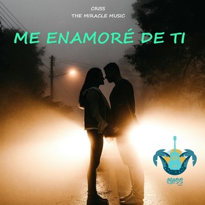 Me enamoré de ti