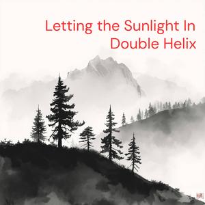 Letting the Sunlight In