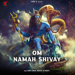 Om Namah Shivay (Hindi)