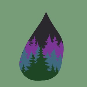 Bad Things (Explicit)