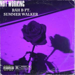 Not Working (feat. S. WALKER) (Explicit)