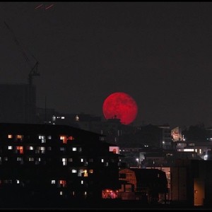 knuck if you buck location (Explicit)