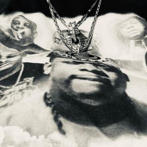 S373N (feat. $RICH!) (Explicit)