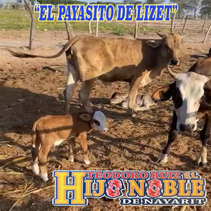 El Payasito De Lizet