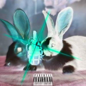 2 IEPURI DINTR-O GRENADA (feat. faust1) (Explicit)