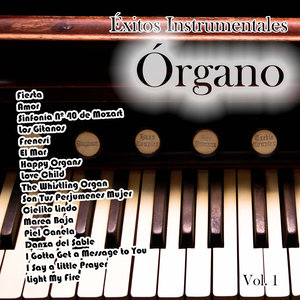 Éxitos Instrumentales: Organo Vol. 1