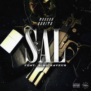 Sal (feat. Bibi Craveur) (Explicit)