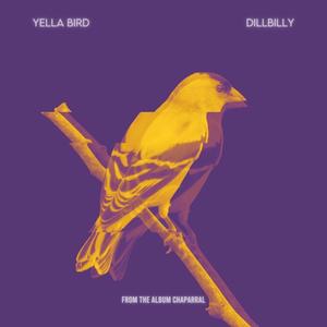 Yella Bird