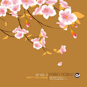 Didn't You Know (Gerardo Frisina Dub Mix)