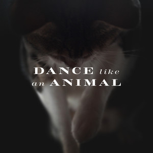 Dance Like an Animal