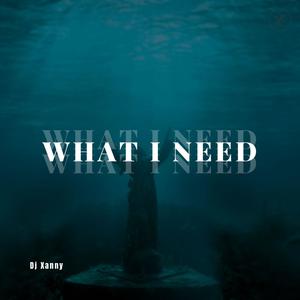 What I Need