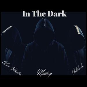 In the Dark (feat. Matty & Alan Skindro) (feat. Matty)