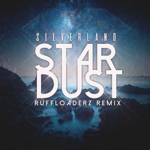 Stardust (Ruff Loaderz House Mix - Radio Edit)