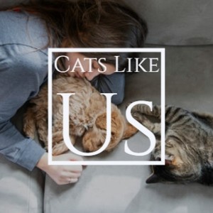 Cats Like Us