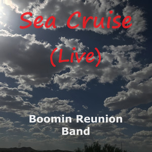 Sea Cruise (Live)