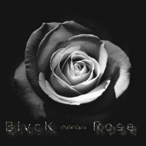 Blvck Rose