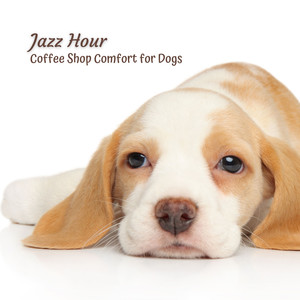 Canine Cappuccino Cadence