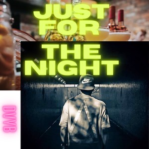 Just For The Night (Explicit)