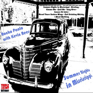 Mend Those Broken Wings(feat. Kevin Rees)