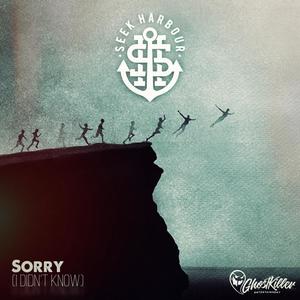 Sorry(I Didn't Know)