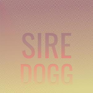 Sire Dogg