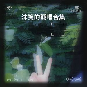 甩葱歌