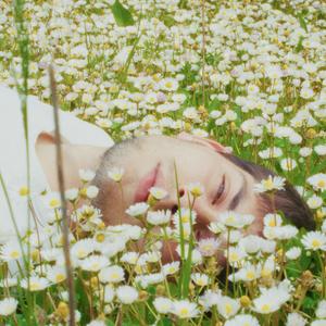 Margherite (non si fa sconto)