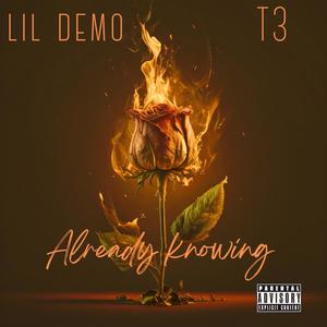 Already Knowing (feat. T 3 & PUHD) [Explicit]