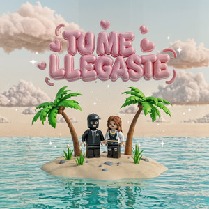 Tu Me Llegaste (Instrumental)