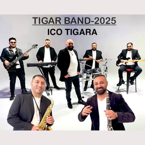 Tigar Band - 2025 (Version 2)