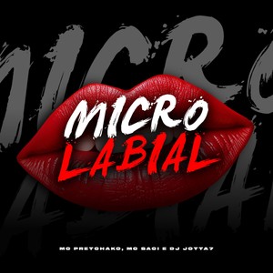 Micro Labial (Explicit)