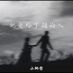把爱给了错的人 (伴奏)封面