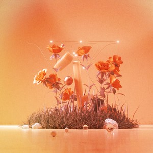 舞い落ちる花びら