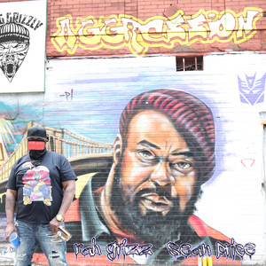 Aggression (Explicit)