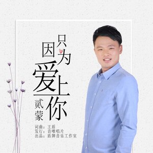 只因为爱上你