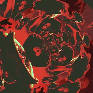 outmymind (Explicit)